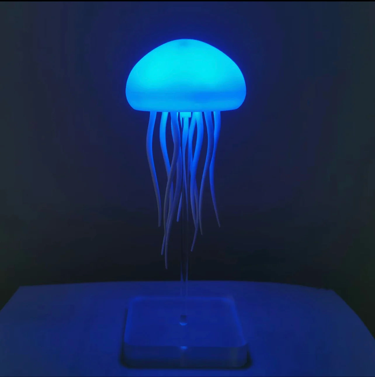 Jellyfish Floating Lamp